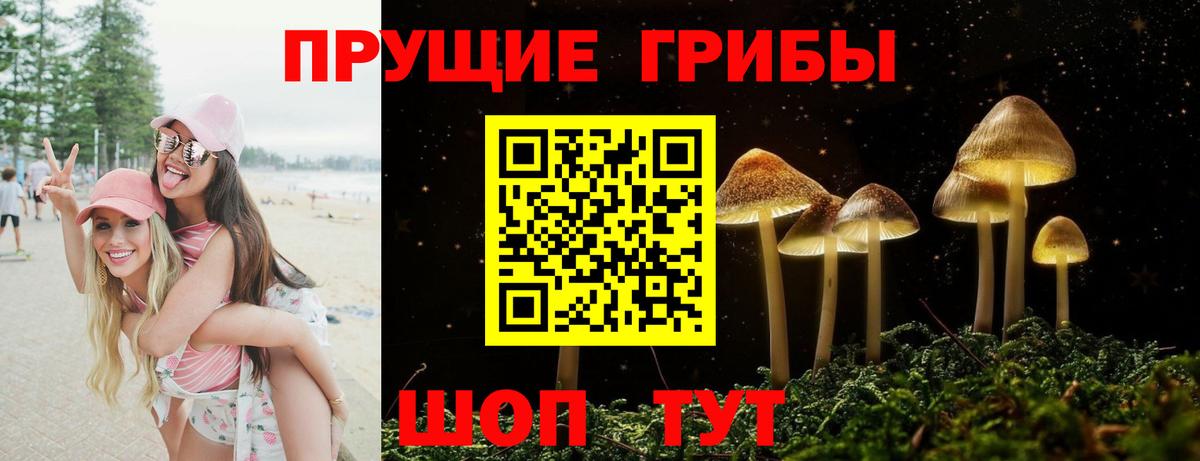 где продают   Вход с VPN  Мелеуз  Псилоцибиновые грибы Psilocybe 